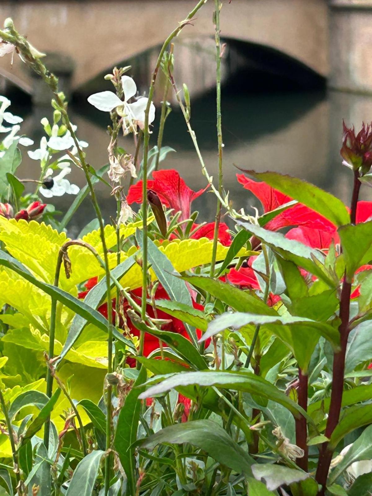 Les Hortensias Fortschwihr Bagian luar foto