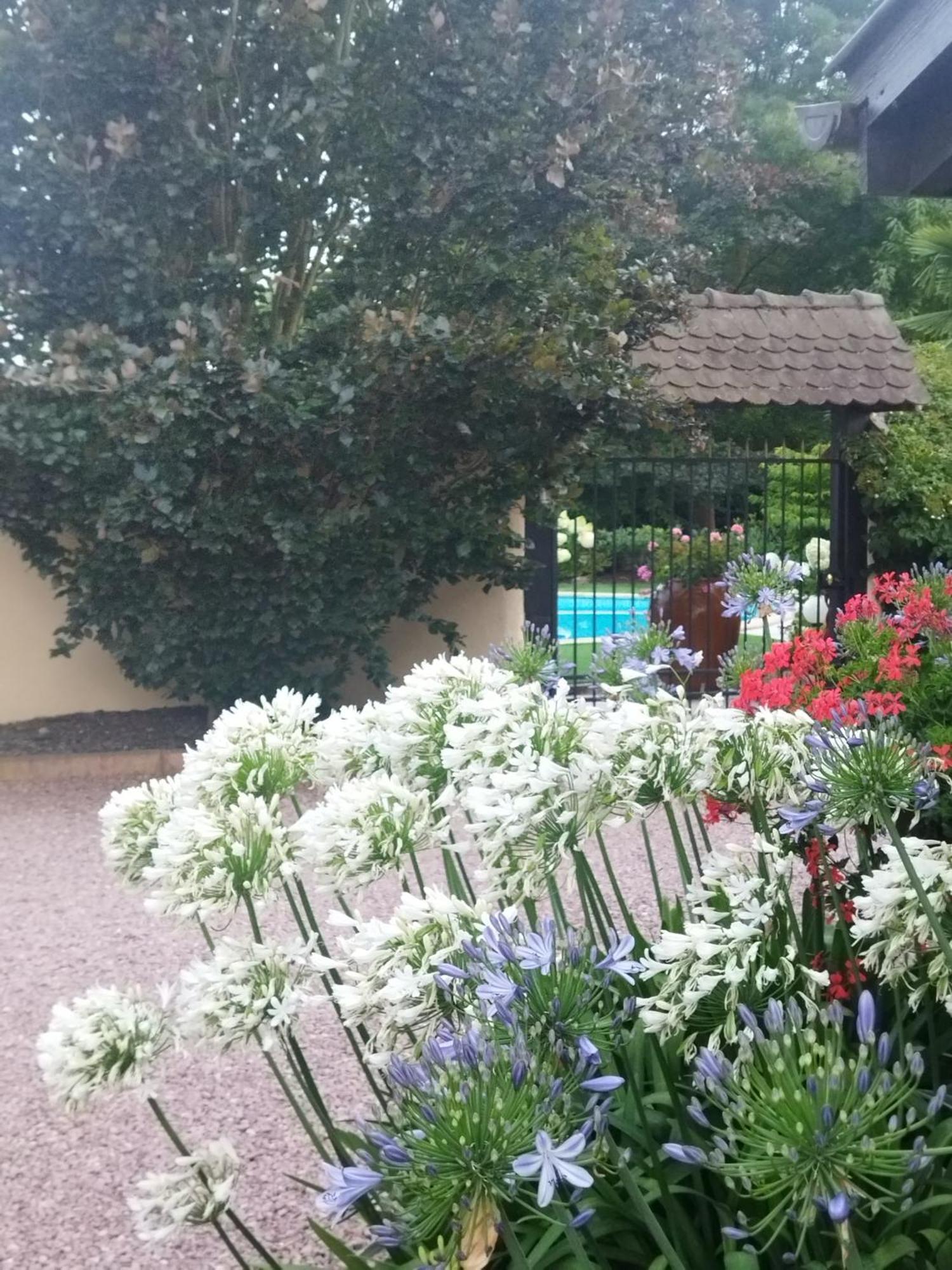 Les Hortensias Fortschwihr Bagian luar foto
