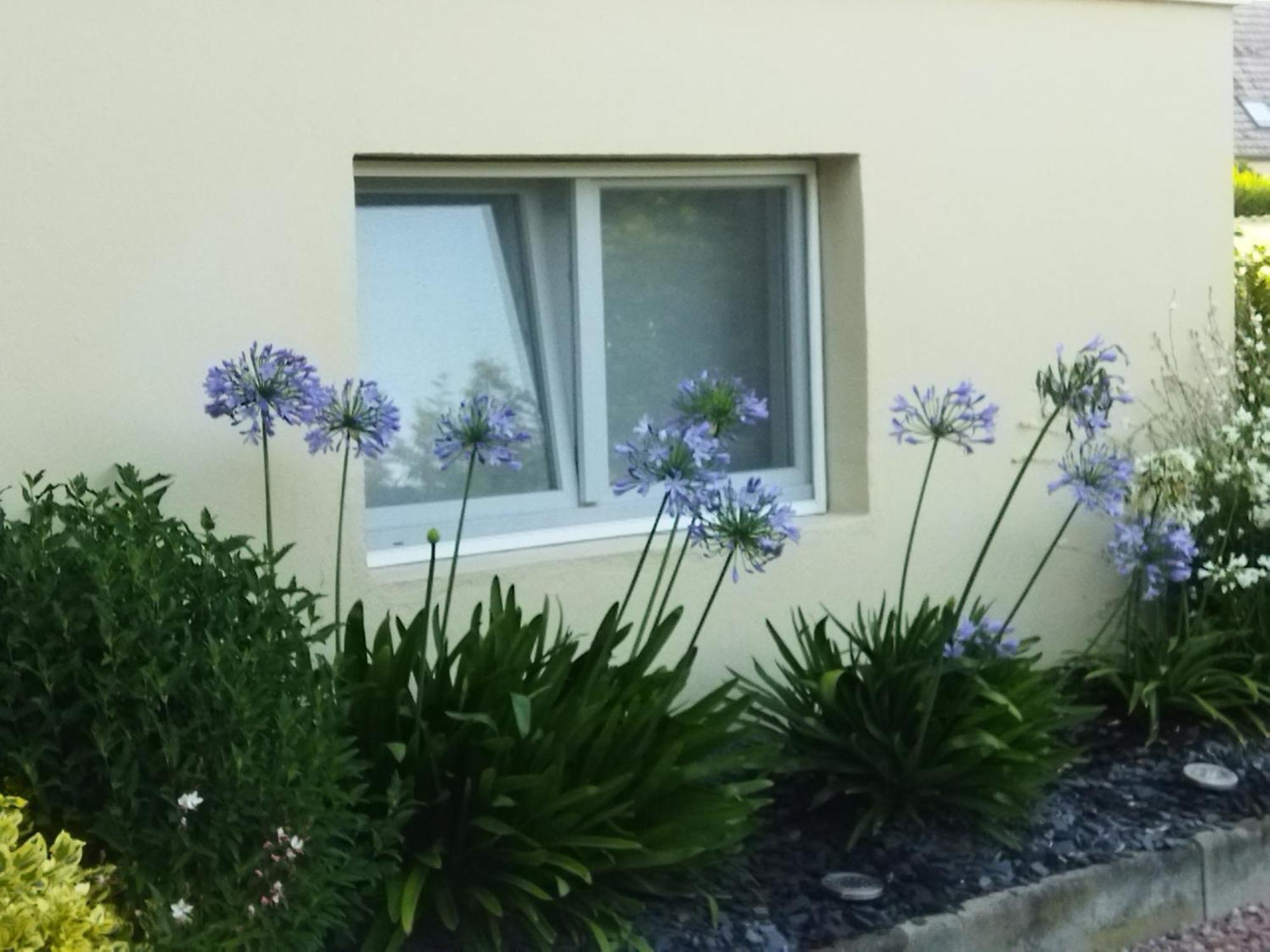 Les Hortensias Fortschwihr Bagian luar foto