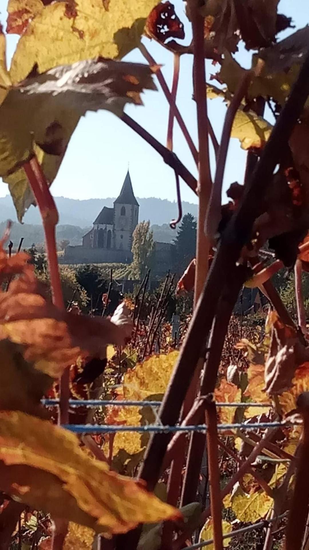 Les Hortensias Fortschwihr Bagian luar foto